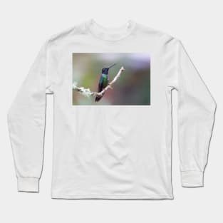 Magnificent hummingbird - Costa Rica Long Sleeve T-Shirt